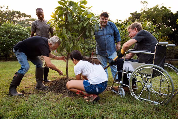 Community Participation